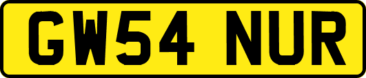 GW54NUR