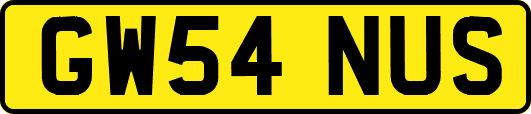 GW54NUS