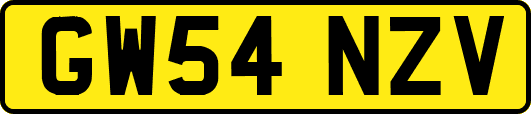 GW54NZV