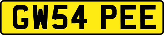 GW54PEE