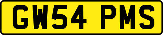 GW54PMS