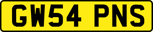 GW54PNS