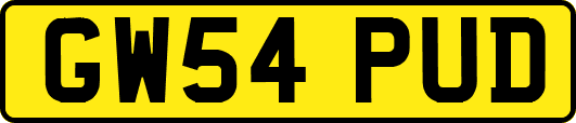 GW54PUD