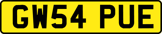 GW54PUE