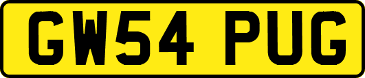 GW54PUG
