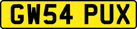 GW54PUX