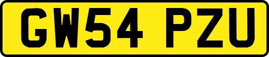 GW54PZU