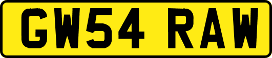 GW54RAW