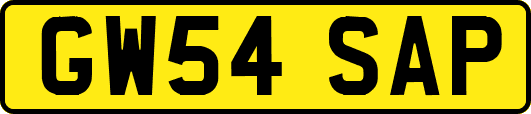 GW54SAP