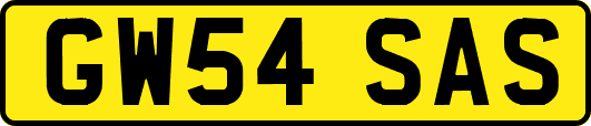 GW54SAS