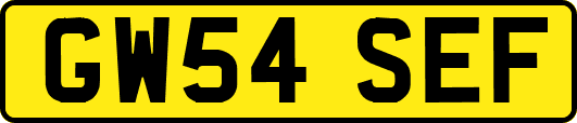 GW54SEF