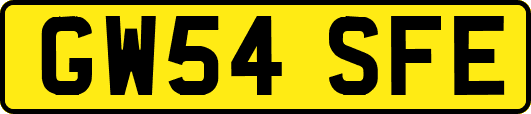 GW54SFE