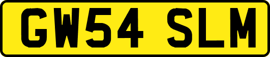 GW54SLM