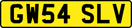 GW54SLV