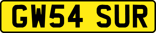 GW54SUR
