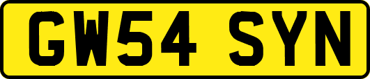 GW54SYN