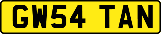 GW54TAN