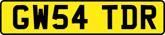GW54TDR