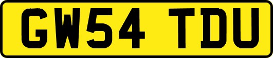 GW54TDU