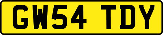 GW54TDY