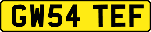 GW54TEF