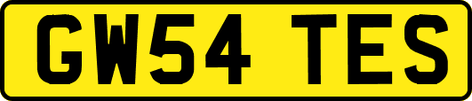 GW54TES