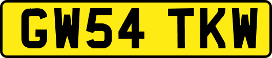 GW54TKW