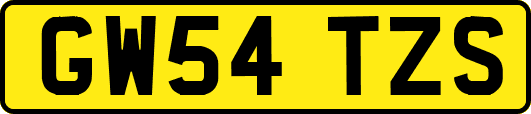 GW54TZS