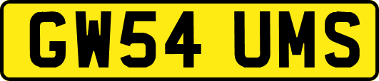 GW54UMS