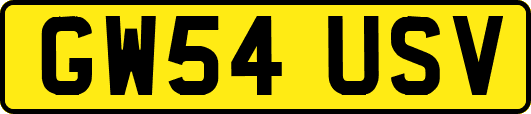 GW54USV