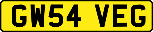 GW54VEG