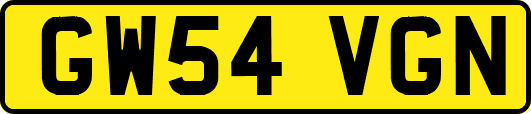 GW54VGN