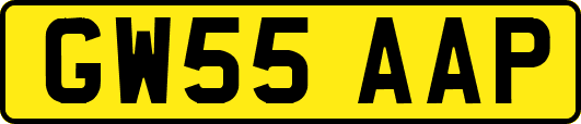 GW55AAP