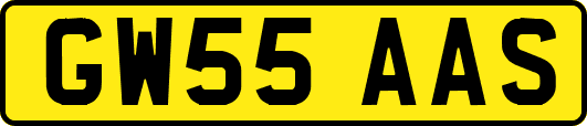 GW55AAS