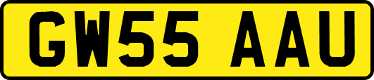 GW55AAU