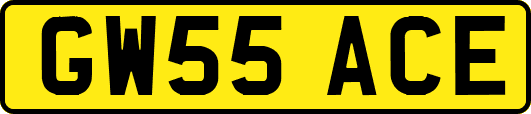 GW55ACE