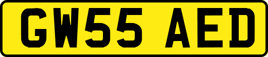 GW55AED