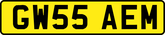 GW55AEM