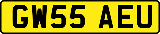 GW55AEU