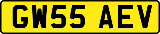 GW55AEV