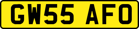 GW55AFO