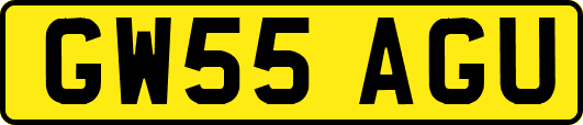 GW55AGU