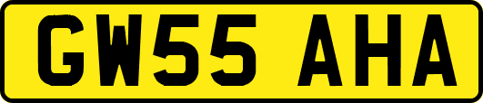 GW55AHA
