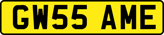 GW55AME