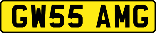 GW55AMG