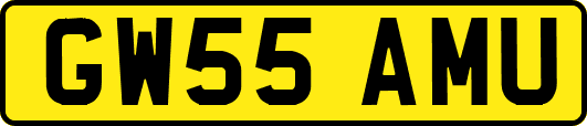 GW55AMU