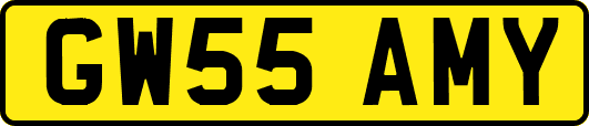 GW55AMY