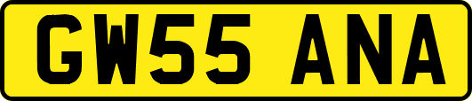 GW55ANA