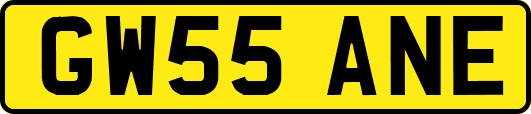 GW55ANE