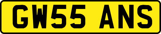 GW55ANS